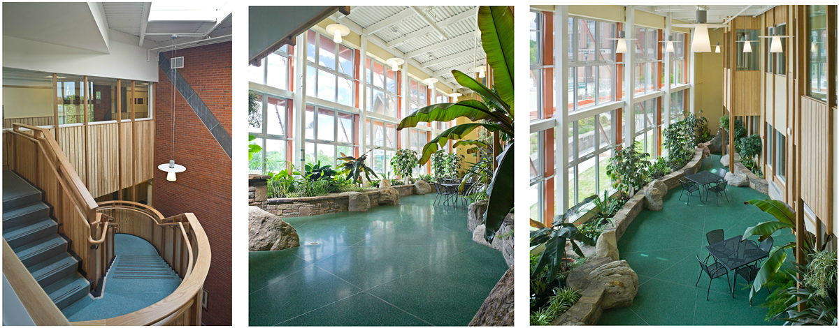 Terrazzo floors which suggest earth, land, water, and air flow from the stairwell down to the solarium.