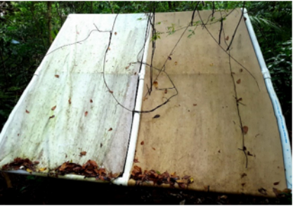 Degradation of fabrics (tropical environment)