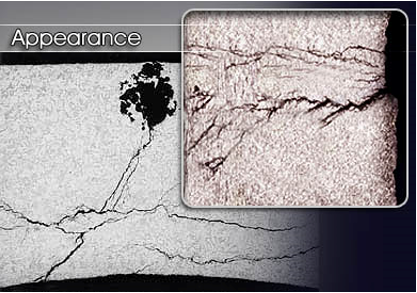 Environmentally Influenced Cracking
