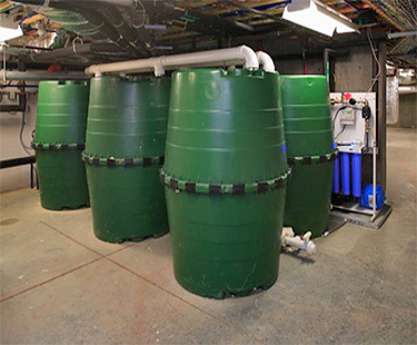 Two 1,000 gallon storage tanks located on either side of the Home Depot Smart Home collect rainwater from roof runoff