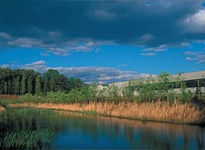 Wetlands bordering a parking deck