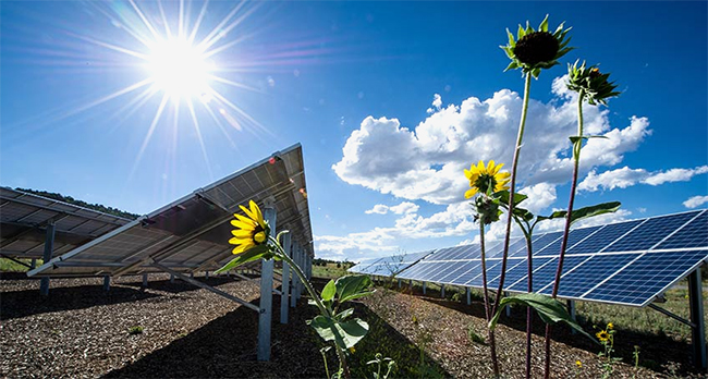 photovoltaic panels in a field with the bright sun shining in the sky and sunflowers in the foreground