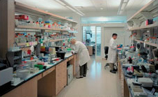 Photo of the laboratory inside Donald Danforth Plant Science Center-St. Louis, MO