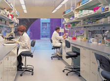Photo of laboratory in Building 4, Chiron Corporation Emeryville Campus Expansion Project-Emeryville, CA