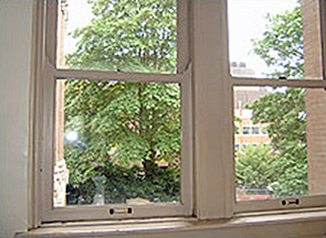 Photo of 2 windows looking out to the trees in daylight.