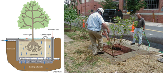 side by side images, on left, drawing of a tree box filter and how it works; on right, 3 men installing a tree box filter