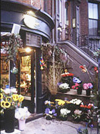 flowershop and rowhouse/townhouse in Beacon Hill Boston MA