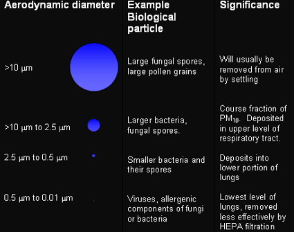 Figure 1 is useful for predicting aerodynamic behavior of a particle in air. The large fungal spores or large polen grains, at an aerodynamic diameter of >10µm, will usually be removed from air by setting. The larger bacteria or fungal spores, at an aerodynamic diameter of >10µm to 2.5 µm, is deposited in the upper level of the respiratory tract. The smaller bacteria and their spores, at an aerodynamic diameter of 2.5 µm to 0.5 µm, deposit into the lower portion of the lungs. The viruses and allergenic components of fungi or bacteria, at an aerodynamic diameter of 0.5 µm to 0.01 µm, are at the the lowest level of the lungs and are removed less effectively by HEPA filtration.