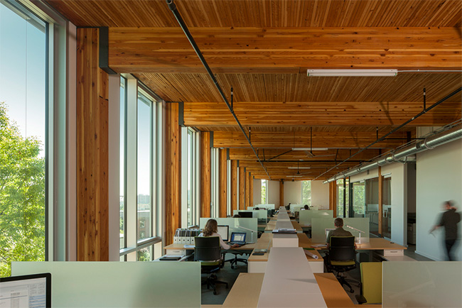 Open office spaces in the Bullitt Center