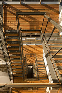 Wooden staircase in the Bullitt Center