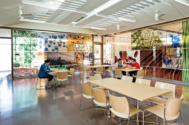 Chemeketa Community College Health Sciences Complex, Active Learning Center's vibrant imagery