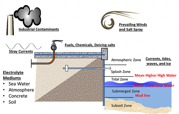 waterfront environment graphic