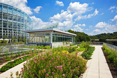 Green roof at the Center for Sustainable Landscapes