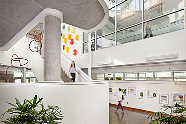 View of natural daylight in atrium and stairway of the Center for Sustainable Landscapes, Pittsburgh, PA