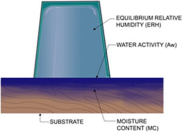 Illustration of moisture requirements for mold growth--moisture content of a substrate, water activity of a surface, and equilibrium relative humidity