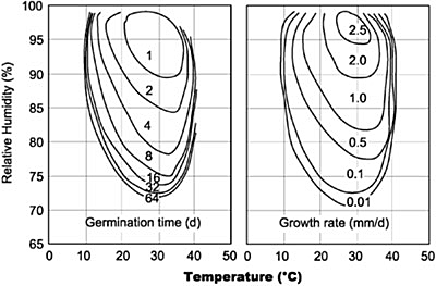 Isopleths of mold germination and growth rate