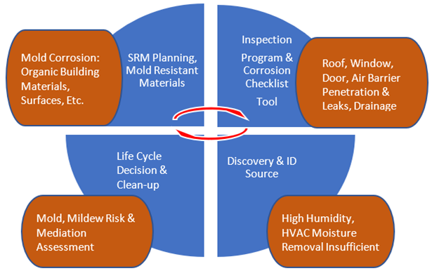 Illustrated chart of mold, mildew life cycle