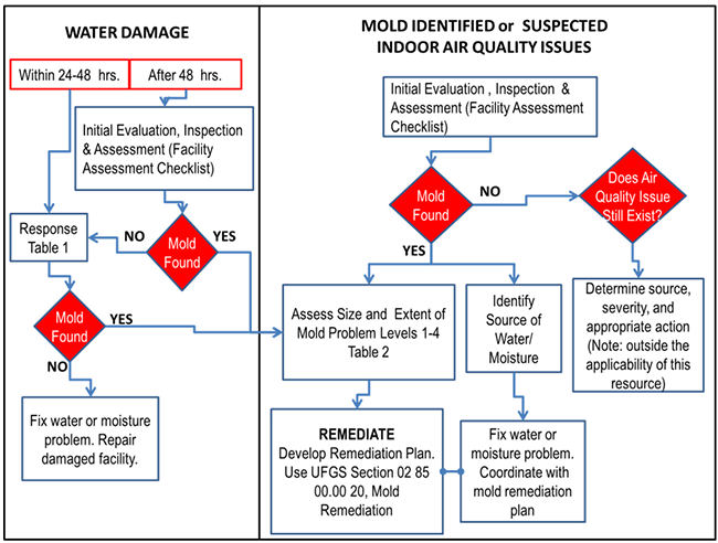 charts showing the process for evaluation and remediation associated with water damage, air quality issues, visible mold, and suspected mold