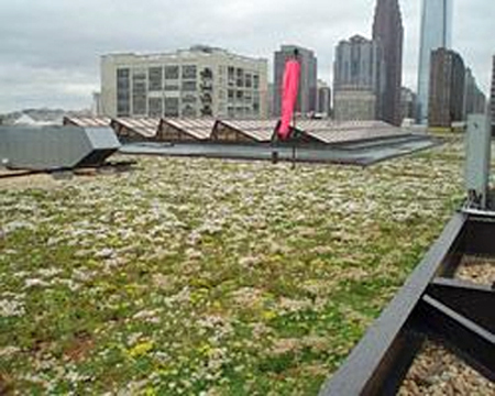 Green roof atop the PECO main office building, Philadelphia