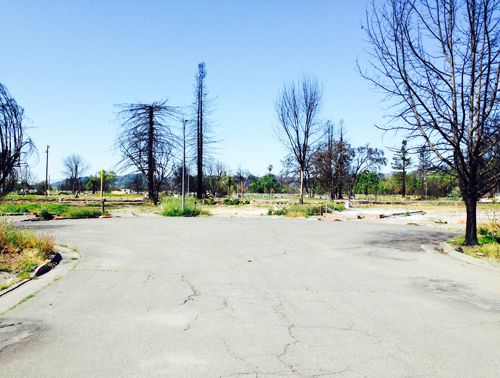 aftermath of the 2018 wildfire in Santa Rosa, California