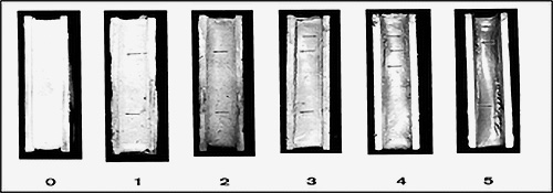 Edge cracking from ASTM C1257-ratings range from zero for no damage to 5 for severe damage