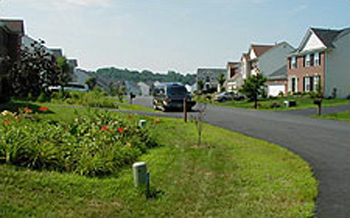 Photo of bioretention cells in Somerset Community