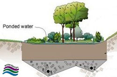 A diagram showing open space being used for storm water control via a Bioretention Cell