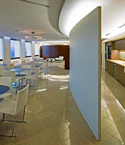 Example of structural coordination and lighting design featuring conference room and room divider
