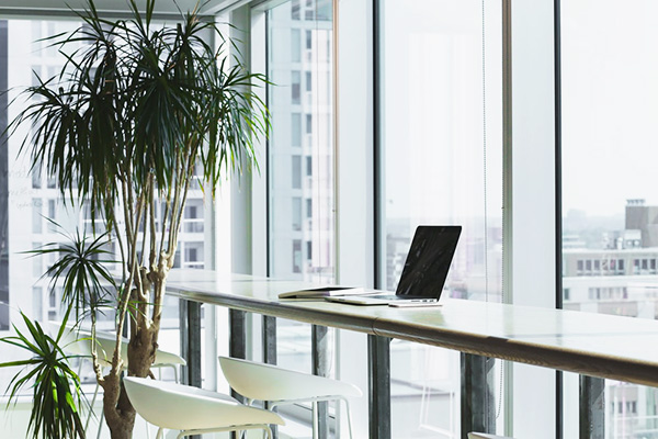 picture of an office with lots of windows and a plant