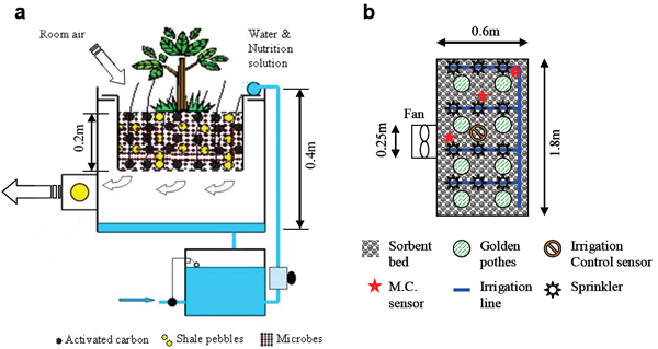 Schematic of dynamic botanical air filtration system: (a) side view, (b) top view. Moisture content sensor