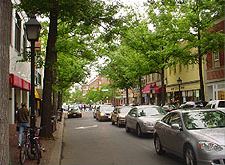 Photo displaying tree lined street with historical character