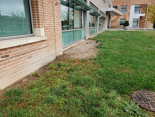 building exterior with patchy grass and poor landscaping