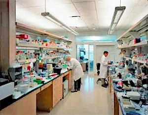 2 scientists working in the laboratory inside the Donald Danforth Plant Science Center, St. Louis, MO