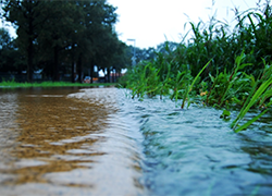 Storm water flowing in runoff