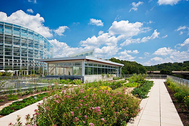 Center For Sustainable Landscapes, Most Famous Landscape Architecture Projects
